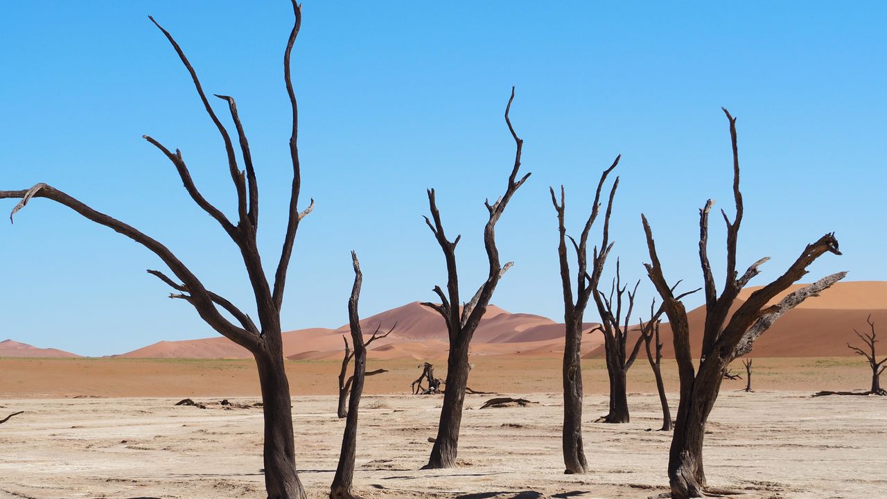 Reisspecialist Marit van Matoke Tours op studiereis in Namibië