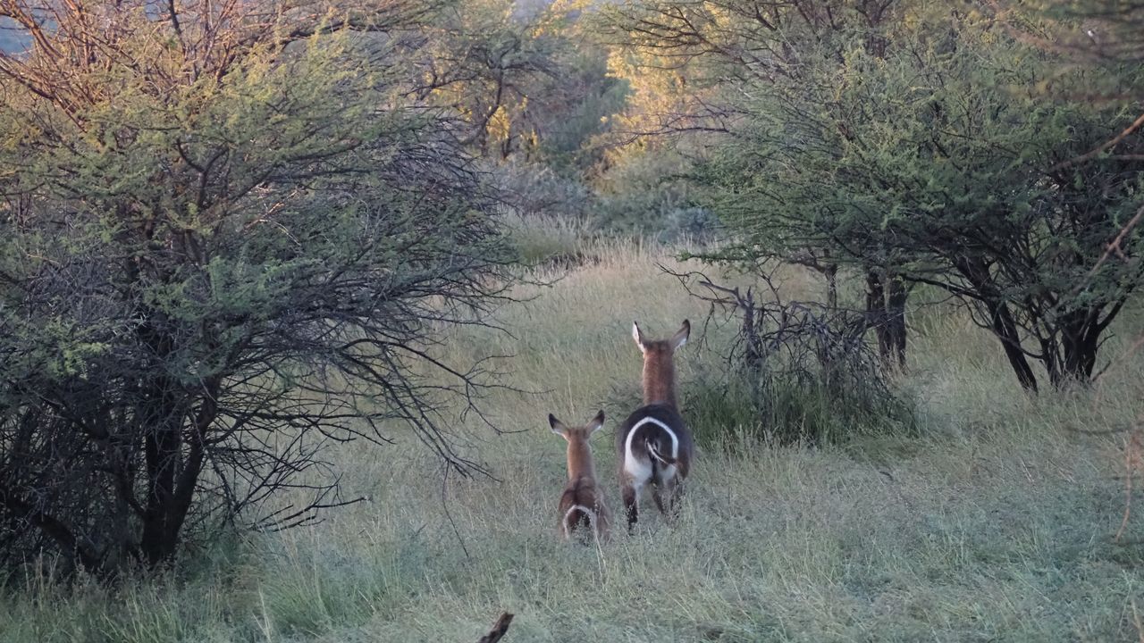 Reisspecialist Marit van Matoke Tours op studiereis in Namibië