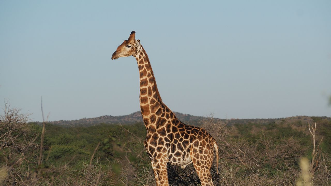 Reisspecialist Marit van Matoke Tours op studiereis in Namibië