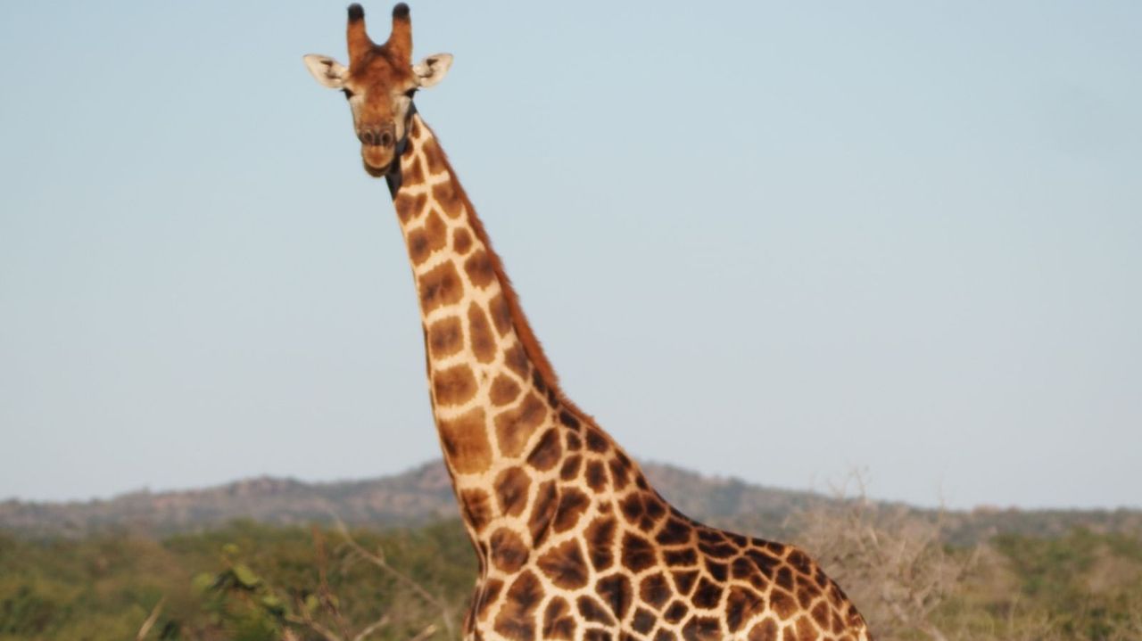 Reisspecialist Marit van Matoke Tours op studiereis in Namibië