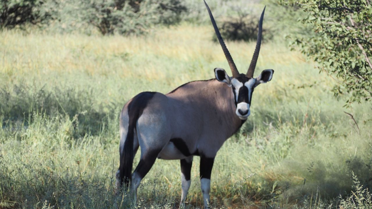Reisspecialist Marit van Matoke Tours op studiereis in Namibië