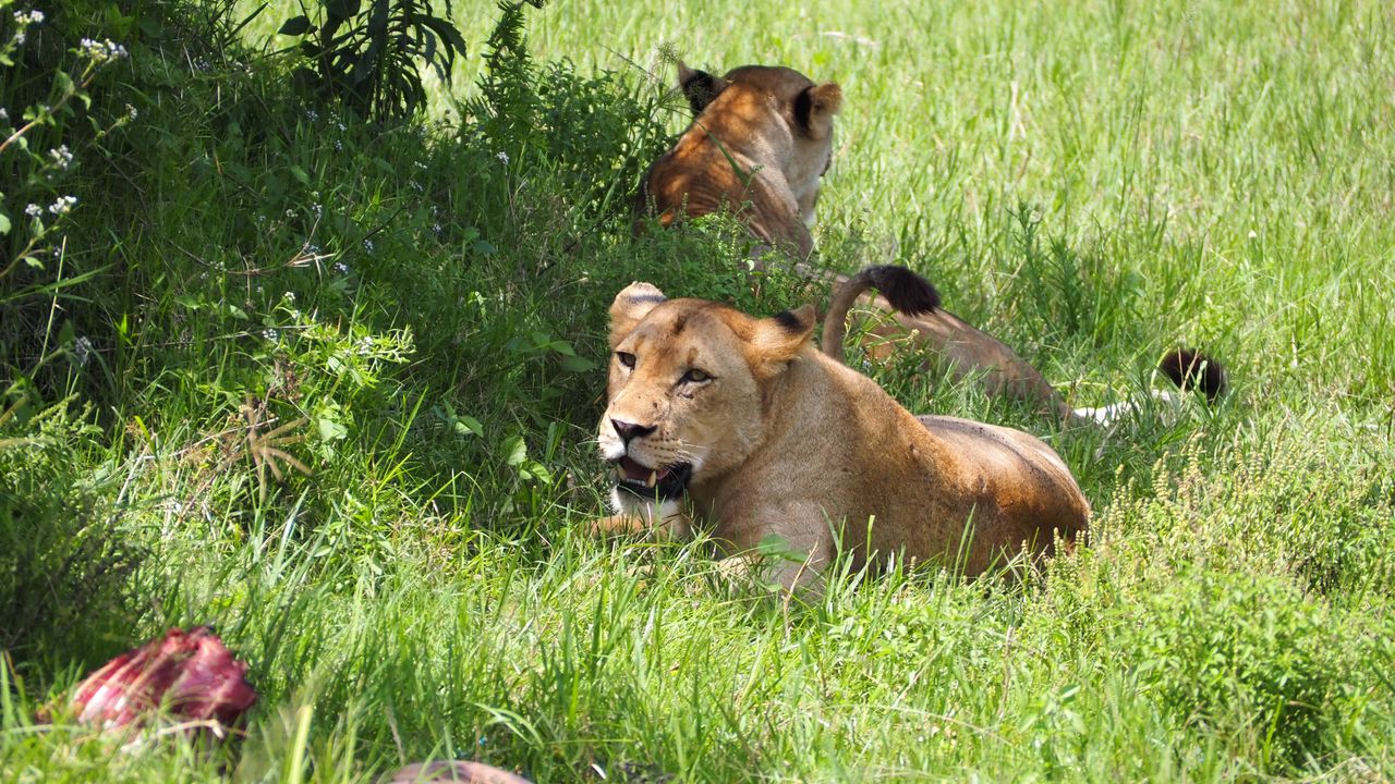 Reisspecialist Joanna op studiereis door Rwanda | Matoke Tours