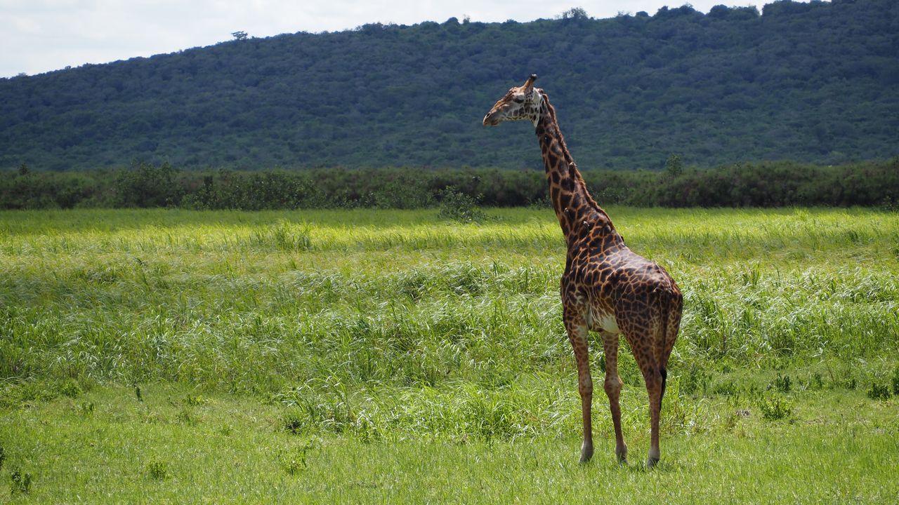 Reisspecialist Joanna op studiereis door Rwanda | Matoke Tours