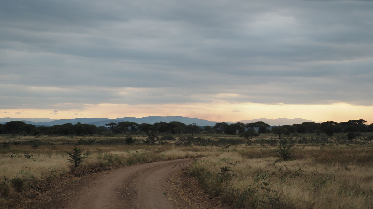 Reisspecialist Joanna van Matoke Tours op studiereis in Tanzania