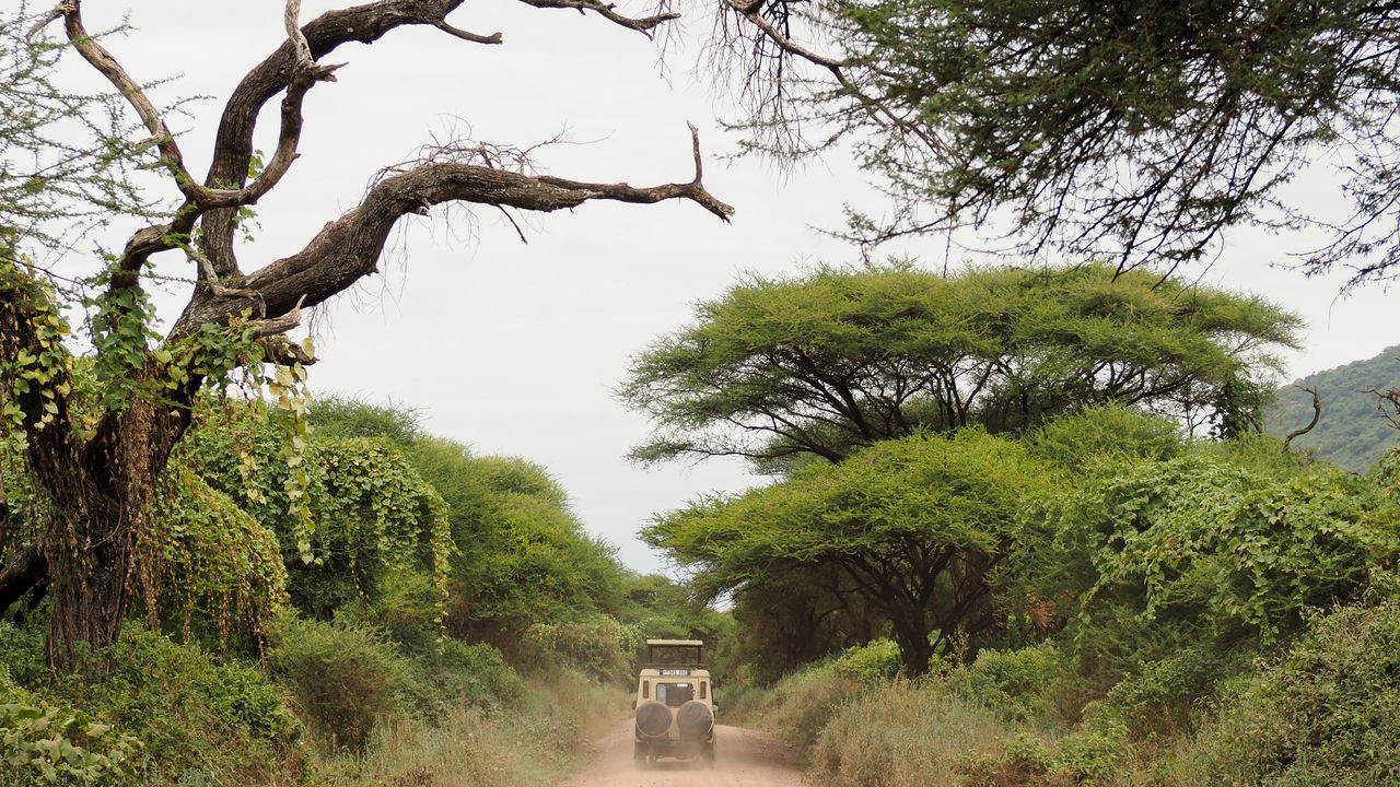 Reisspecialist Joanna van Matoke Tours op studiereis in Tanzania