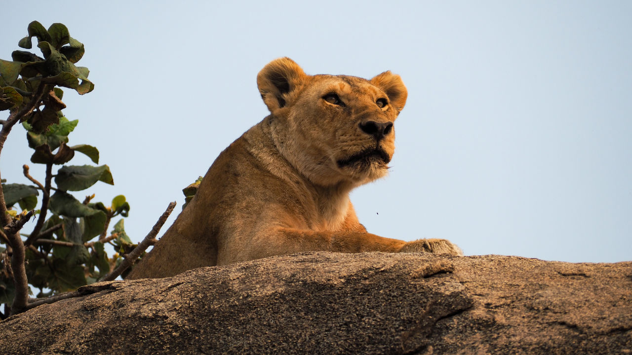 Reisspecialist Joanna van Matoke Tours op studiereis in Tanzania