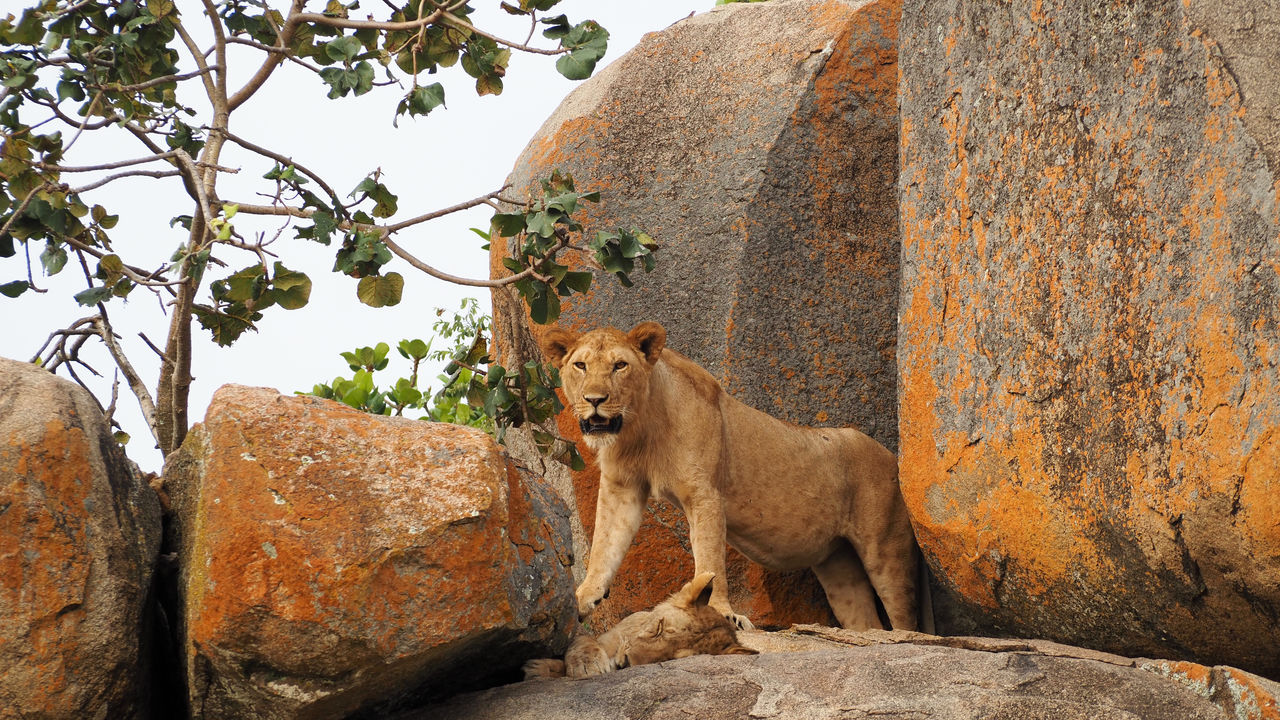 Reisspecialist Joanna van Matoke Tours op studiereis in Tanzania