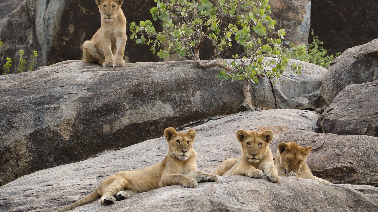 Reisspecialist Joanna van Matoke Tours op studiereis in Tanzania