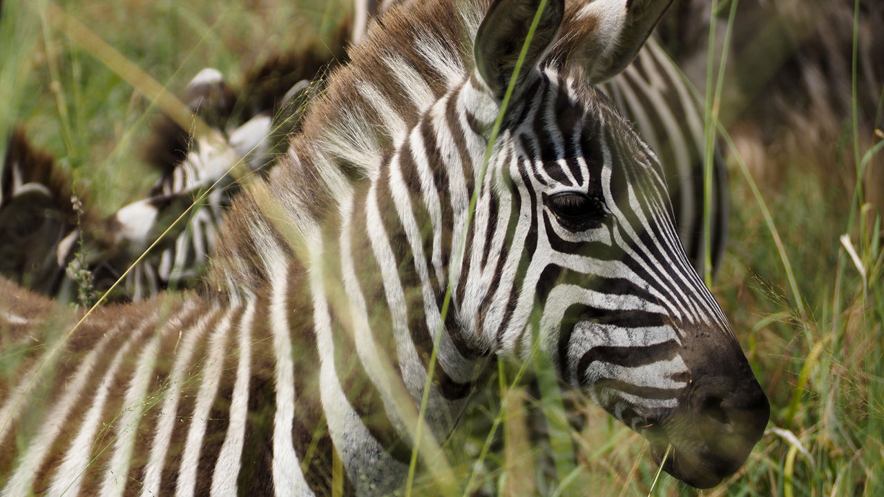 Reisspecialist Joanna van Matoke Tours op studiereis in Tanzania