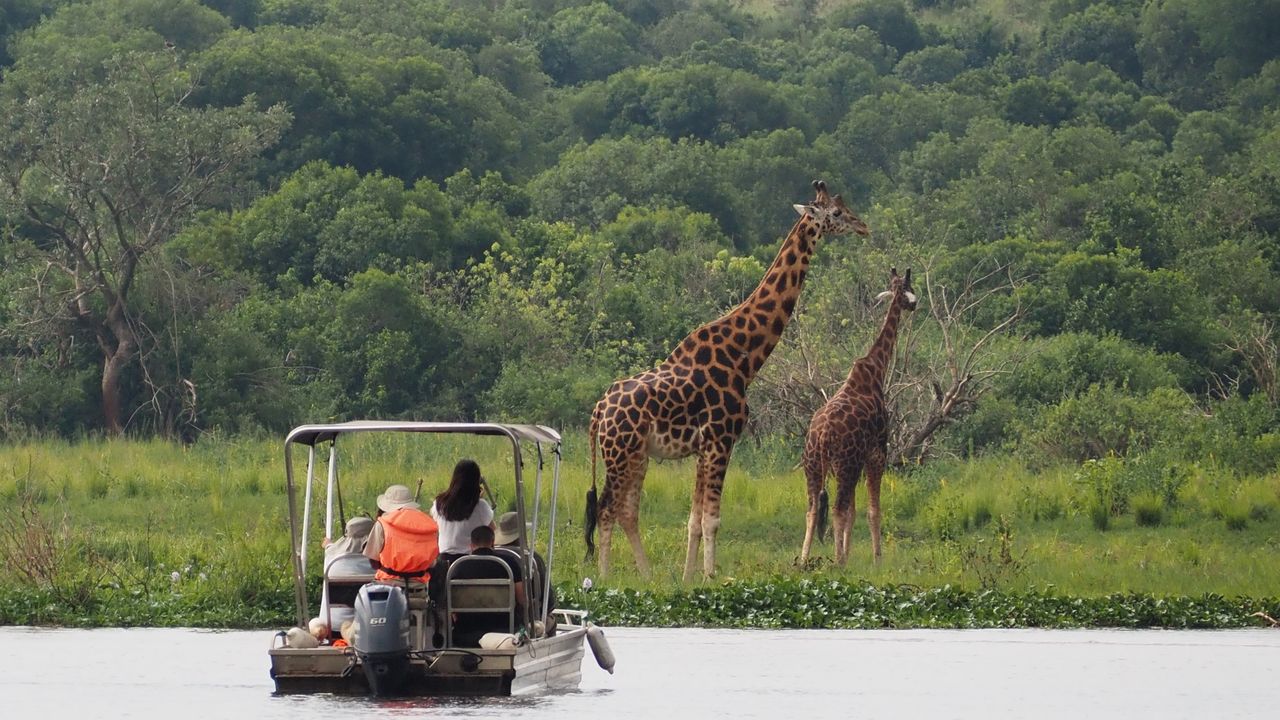 Sisterhood safari Rwanda en Oeganda | Reizen voor vrouwen in Afrika