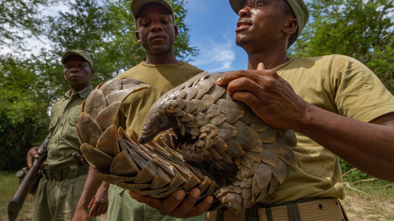 Gorongosa National Park | Safari in Mozambique | Matoke Tours