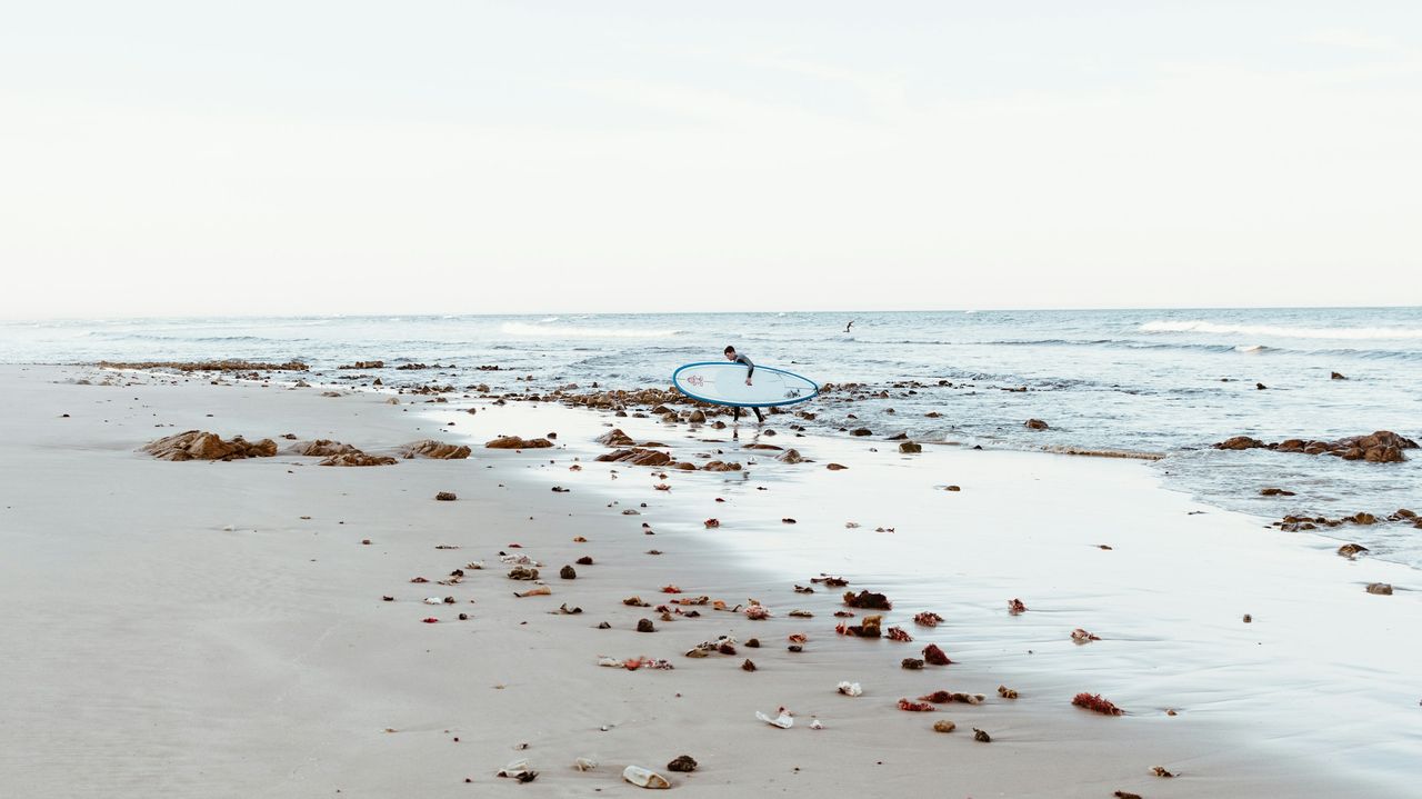 Port Elizabeth - zonnige kuststad aan de Oostkaap | Matoke Tours