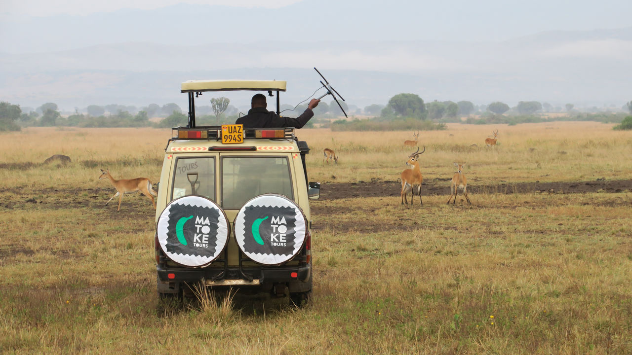 Met gezin op safari naar Oeganda en Zanzibar