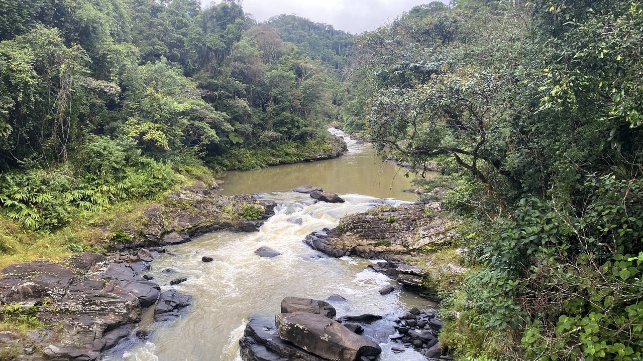 Reisspecialist Sanne op studiereis in Madagascar | Matoke Tours