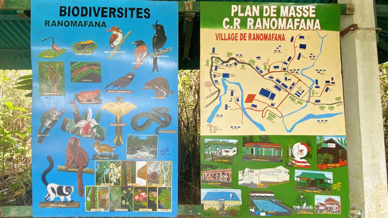 Reisspecialist Sanne op studiereis in Madagascar | Matoke Tours