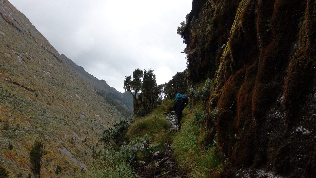 Rwenzori beklimmen | trekking Weismann Piek | Matoke Tours