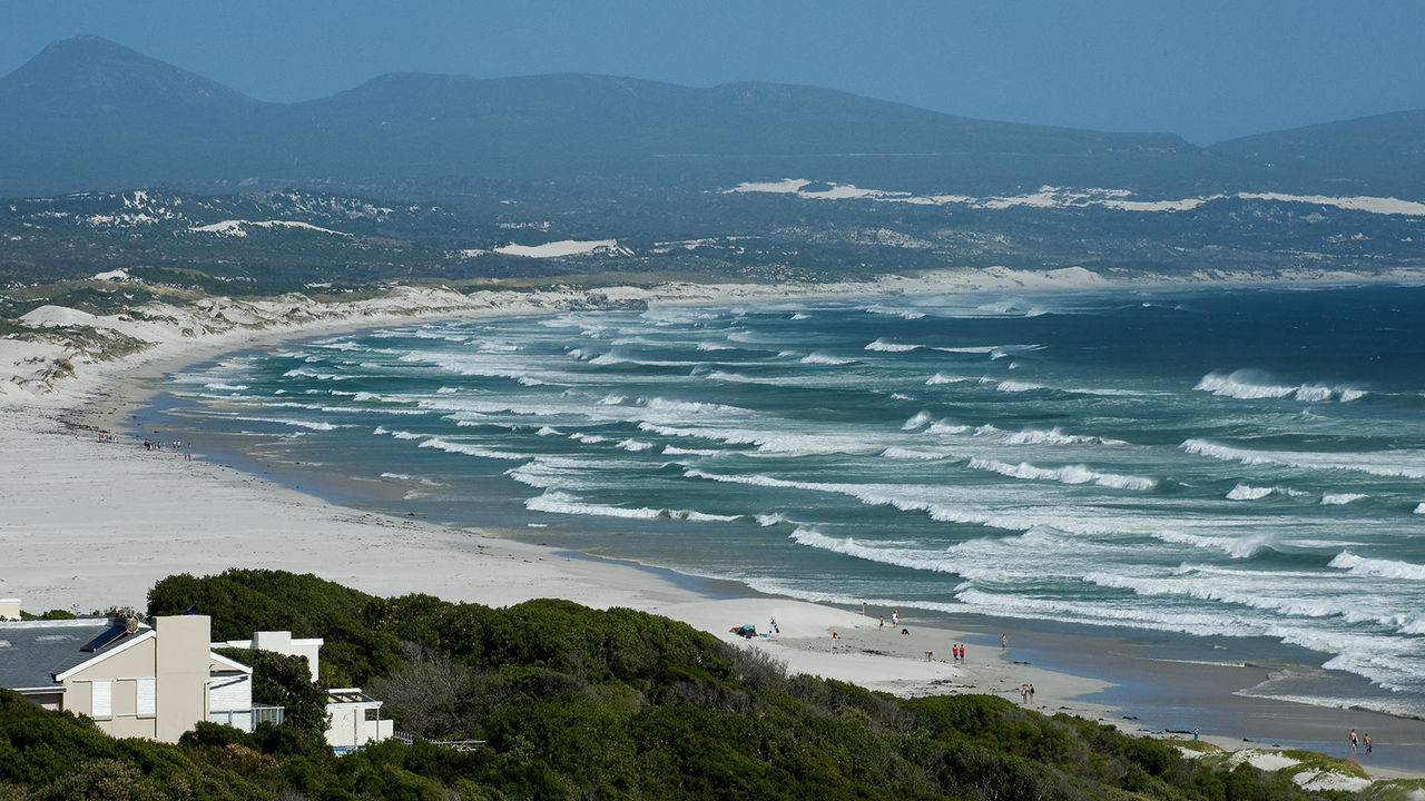 Hermanus - Walvissen - Zuid-Afrika - Matoke Tours