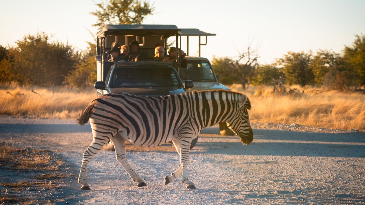 Reisinformatie Namibie | Matoke Tours
