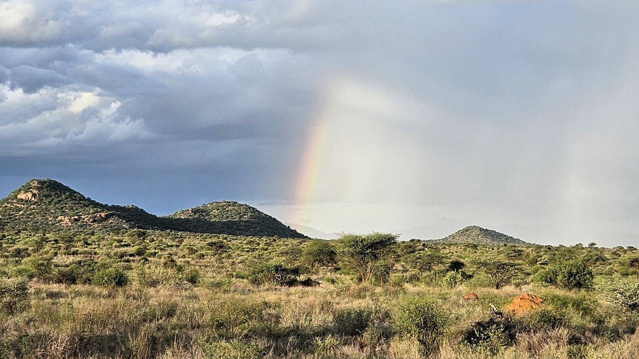 ongerept Kenia