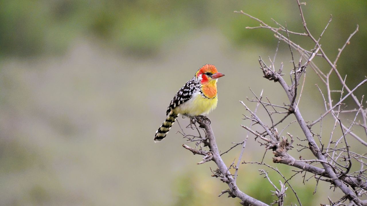 Reisspecialist Natasja op reis in Centraal Kenia | Matoke Tours