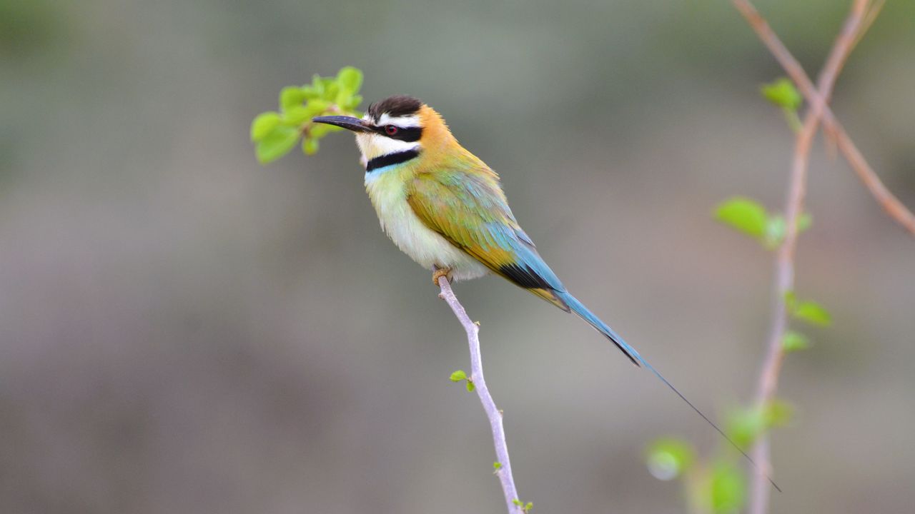 Reisspecialist Natasja op reis in Centraal Kenia | Matoke Tours