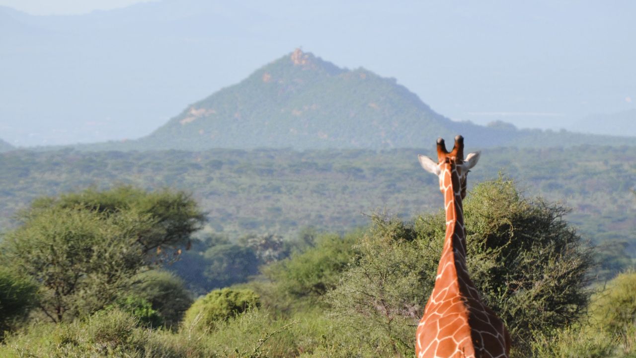 Kenia praktische reisinformatie | Matoke Tours