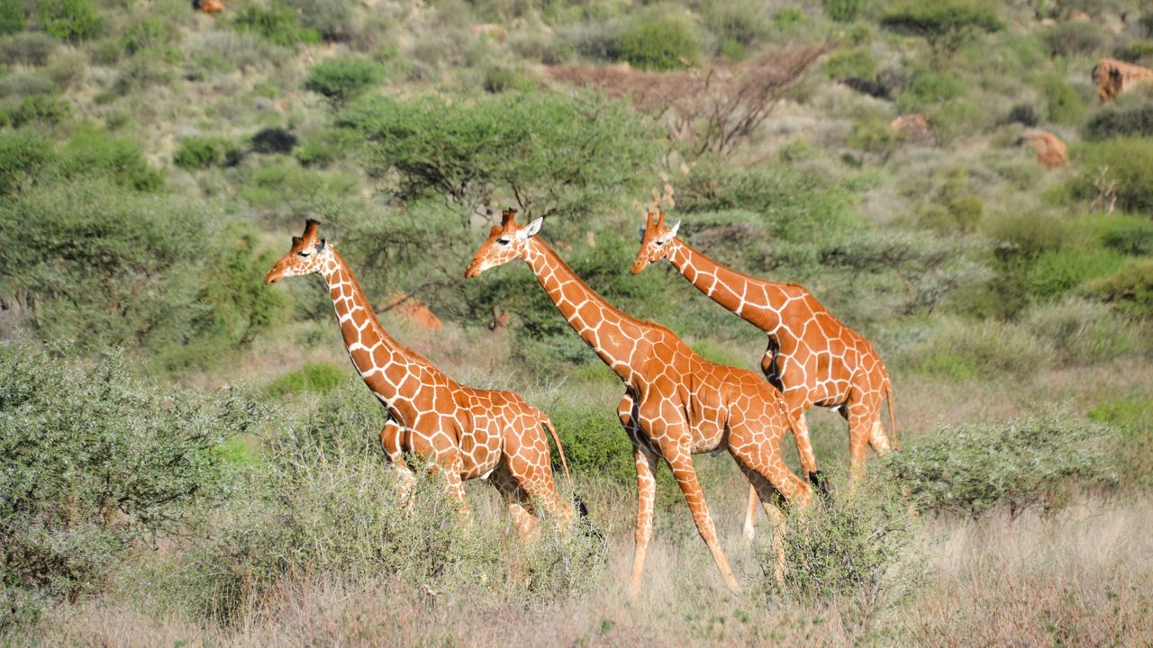Reisspecialist Natasja op reis in Centraal Kenia | Matoke Tours