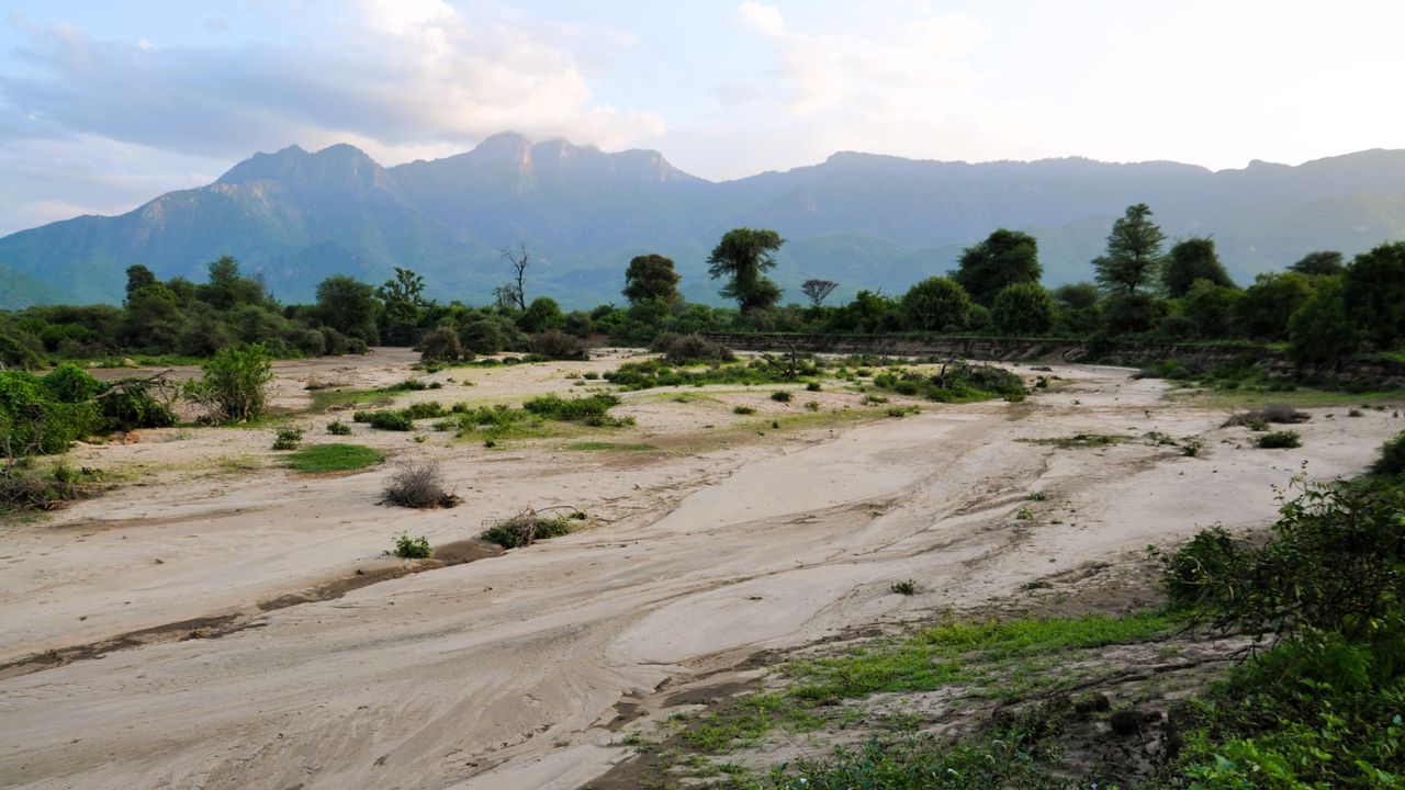 Reisspecialist Natasja op reis in Centraal Kenia | Matoke Tours