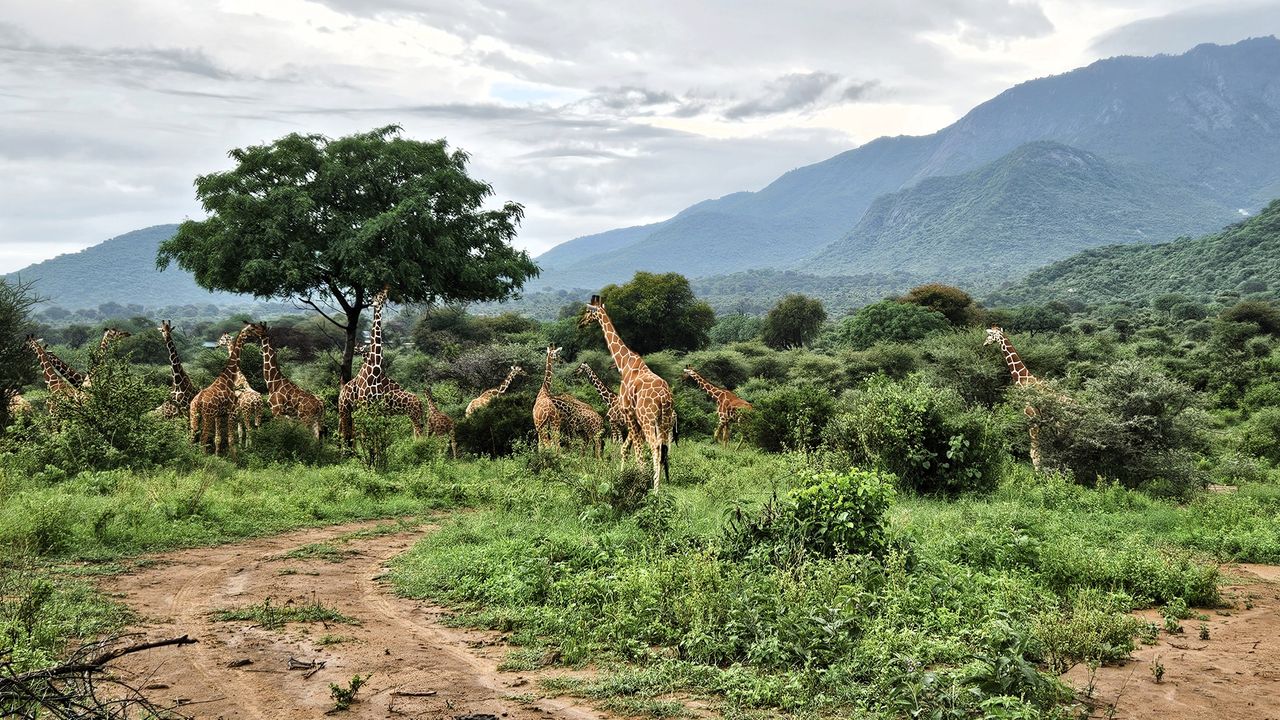 Reisspecialist Natasja op reis in Centraal Kenia | Matoke Tours