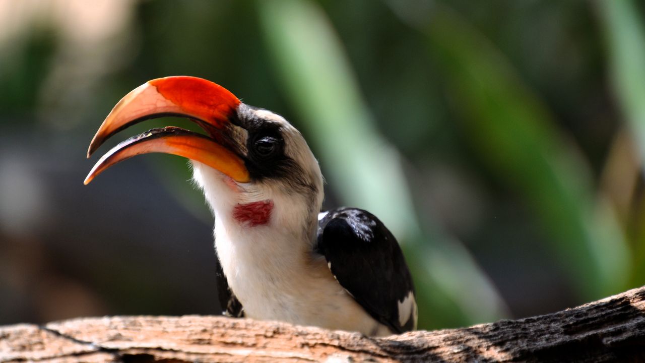 Reisspecialist Natasja op reis in Centraal Kenia | Matoke Tours