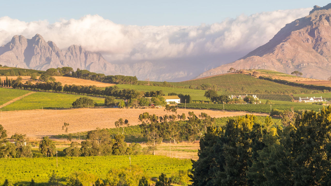 Kaapse Wijnlanden - Cape Winelands - Zuid-Afrika - Matoke Tours