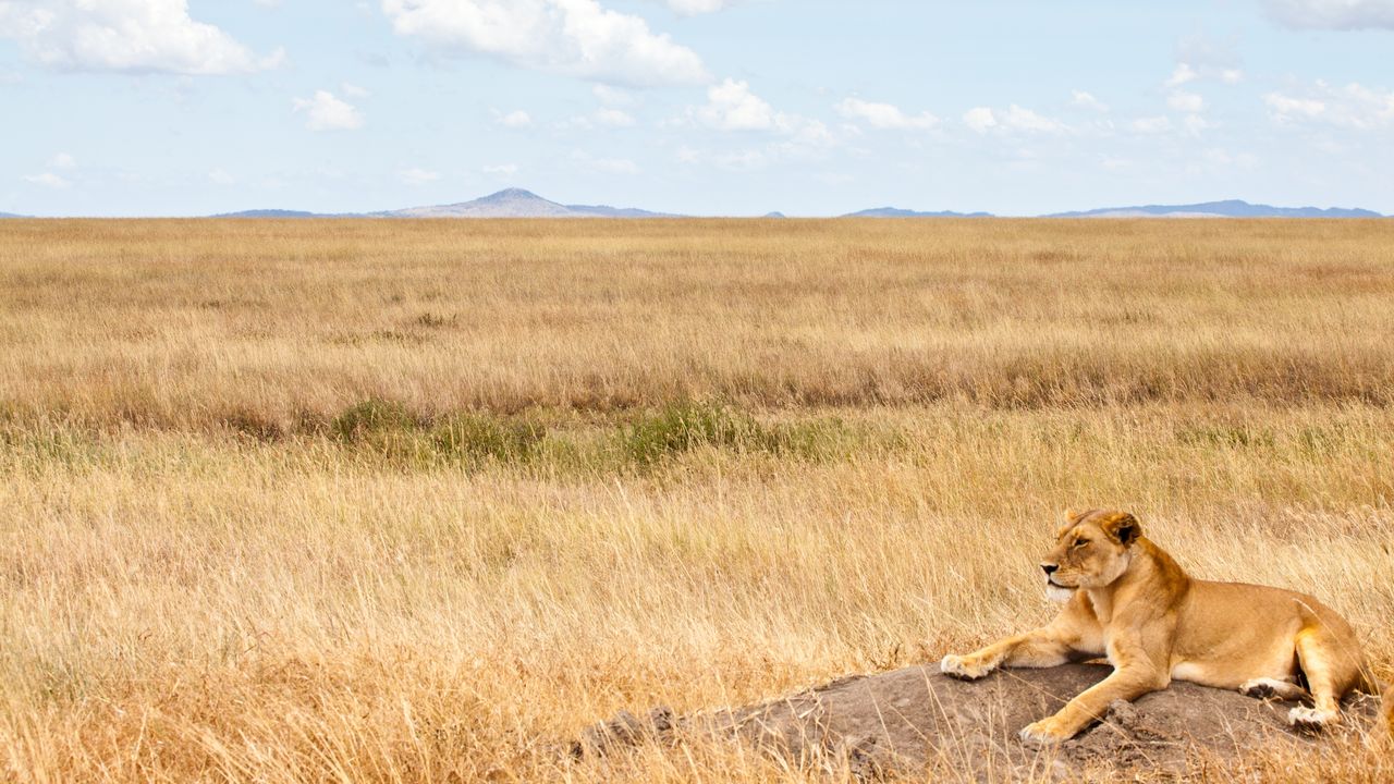 Tanzania met kinderen - familiereis Tanzania met gezin | Matoke Tours