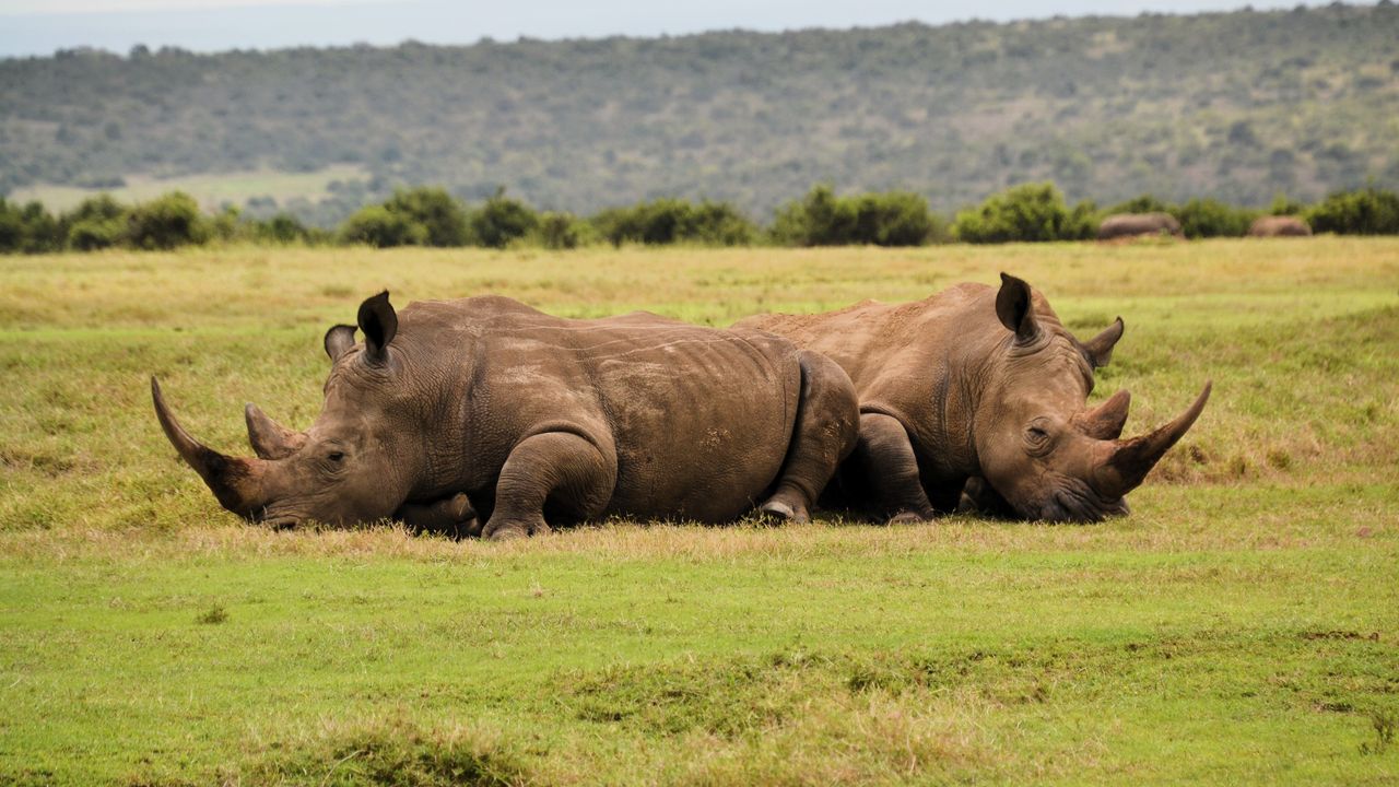 Reisspecialist Natasja op reis in Centraal Kenia | Matoke Tours