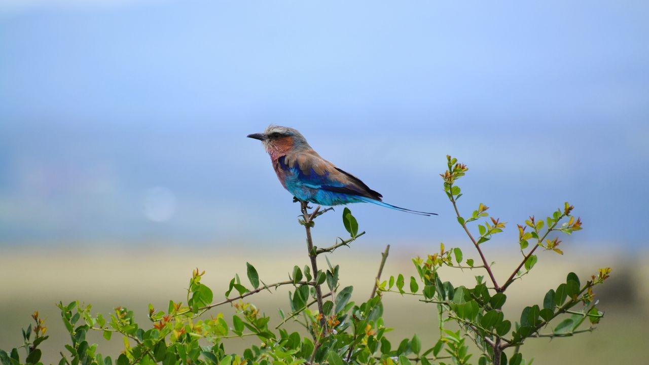 Reisspecialist Natasja op reis in Centraal Kenia | Matoke Tours