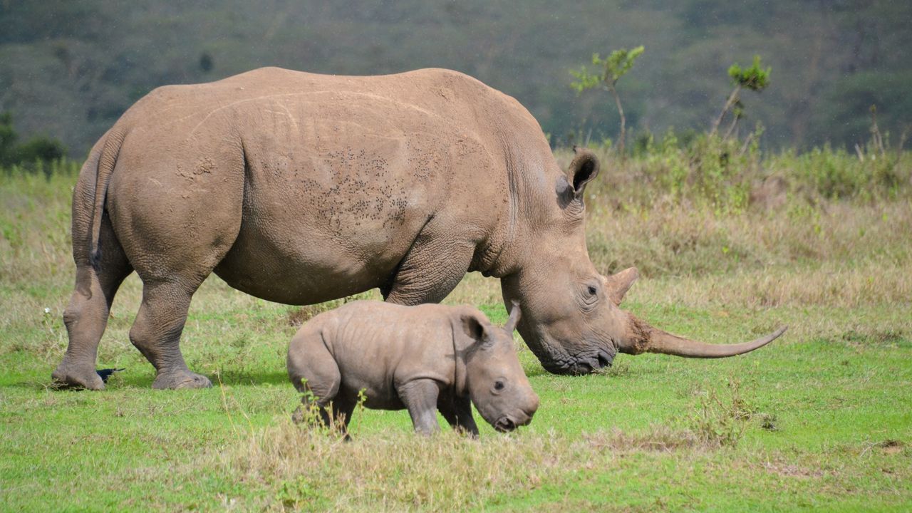 Reisspecialist Natasja op reis in Centraal Kenia | Matoke Tours