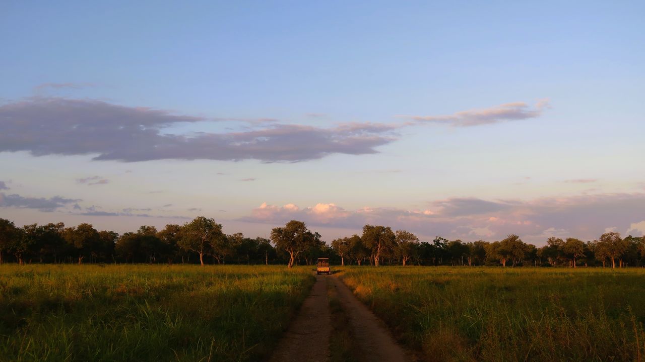 Reisverhaal Zambia: een luxe en exclusieve safari reis door Zambia