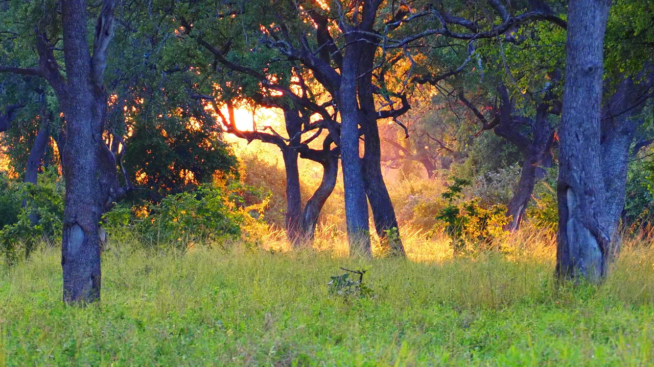 Reisverhaal Zambia: een luxe en exclusieve safari reis door Zambia