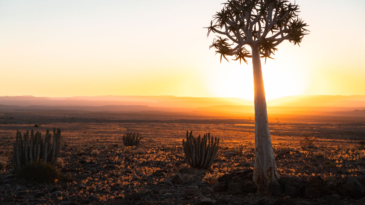 Zelf rijden in Namibië | Roadtrip Namibië & Zimbabwe