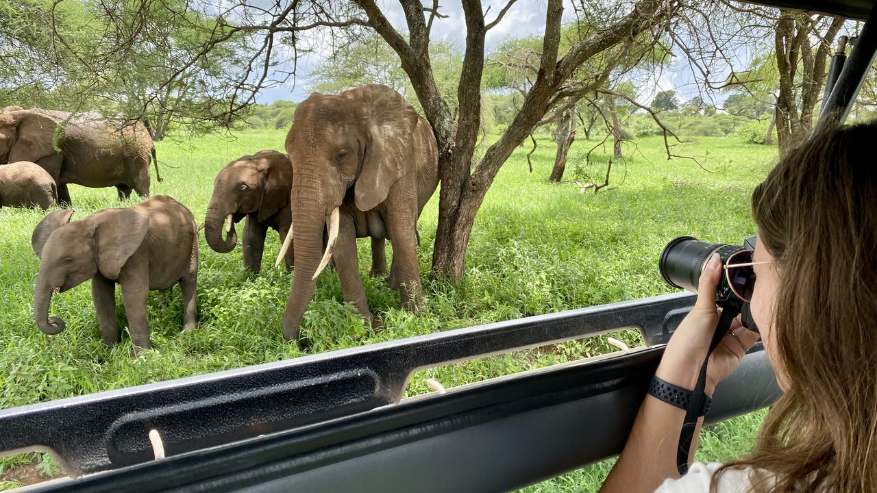 Tanzania informatie | Praktische reisinformatie | Matoke Tours