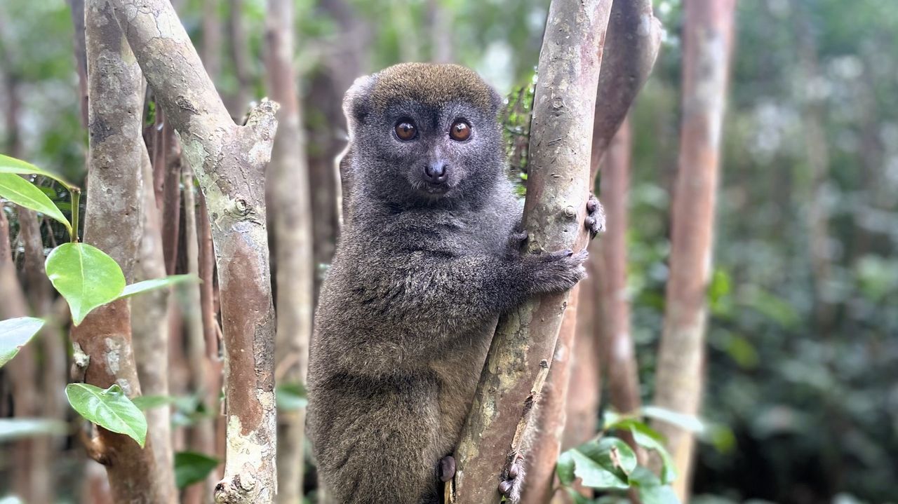Reisspecialist Sanne op studiereis in Madagascar | Matoke Tours