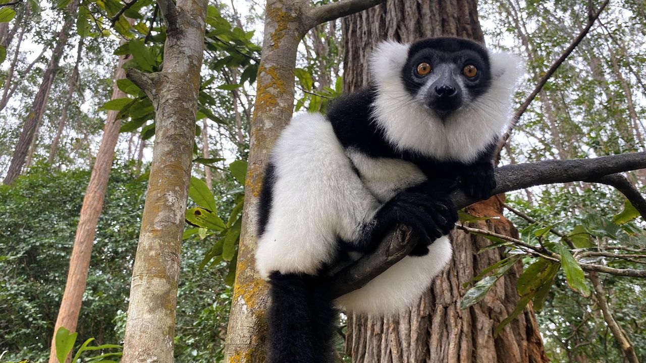 Reisspecialist Sanne op studiereis in Madagascar | Matoke Tours