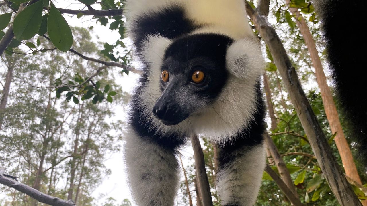 Reisspecialist Sanne op studiereis in Madagascar | Matoke Tours