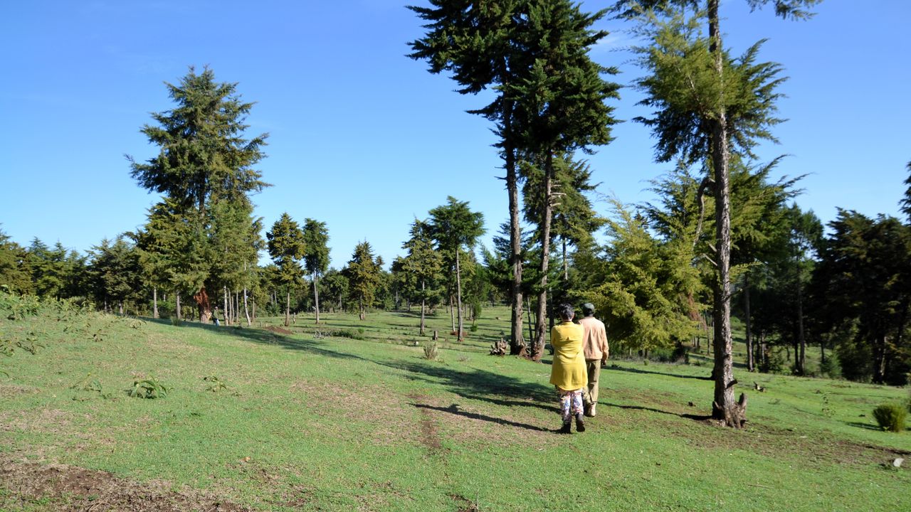 Reisspecialist Natasja op reis in Centraal Kenia | Matoke Tours
