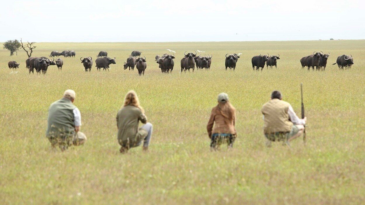 Ol Pejeta Conservancy - Tips & informatie | Matoke Tours