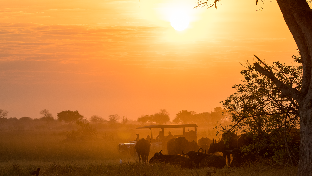 Reisverhaal Zambia: een luxe en exclusieve safari reis door Zambia