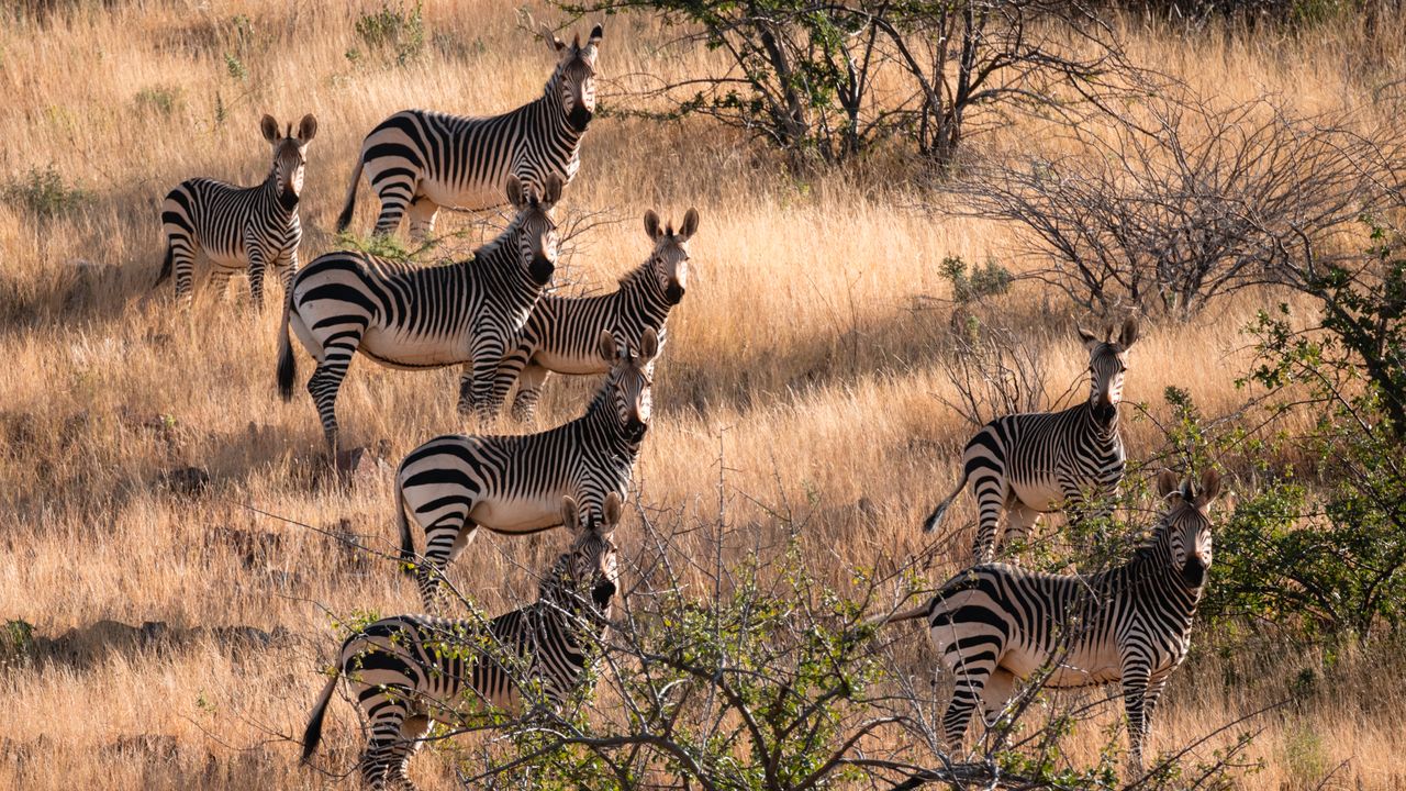 Zelf rijden in Namibië | Roadtrip Namibië & Zimbabwe