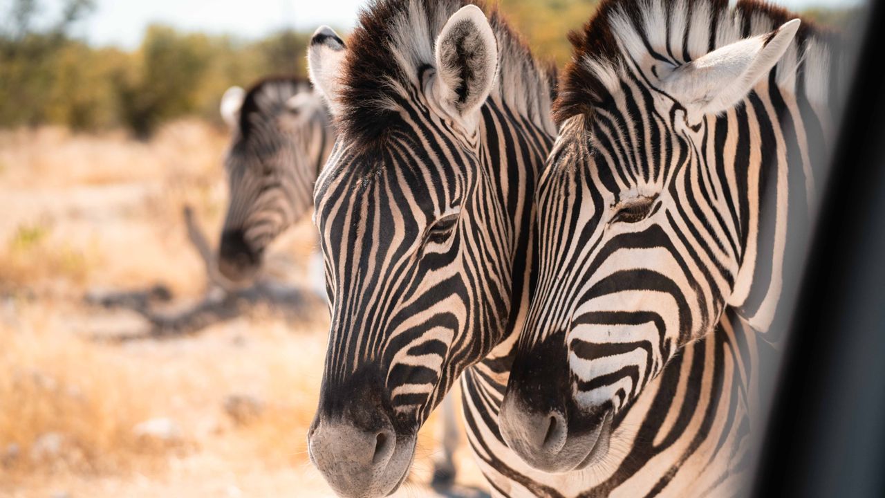 Zelf rijden in Namibië | Roadtrip Namibië & Zimbabwe