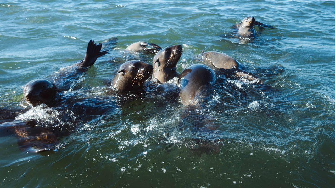 Zelf rijden in Namibië | Roadtrip Namibië & Zimbabwe