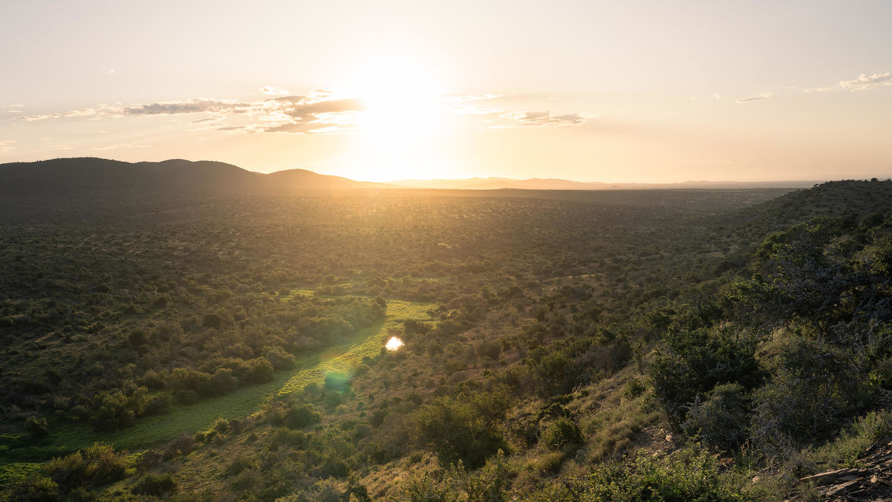 Addo Elephant - Nationaal Park - Zuid-Afrika - Matoke Tours