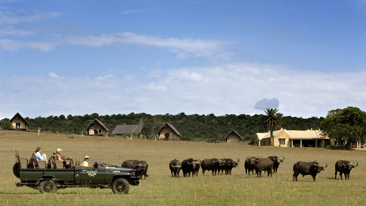 Addo Elephant - Nationaal Park - Zuid-Afrika - Matoke Tours